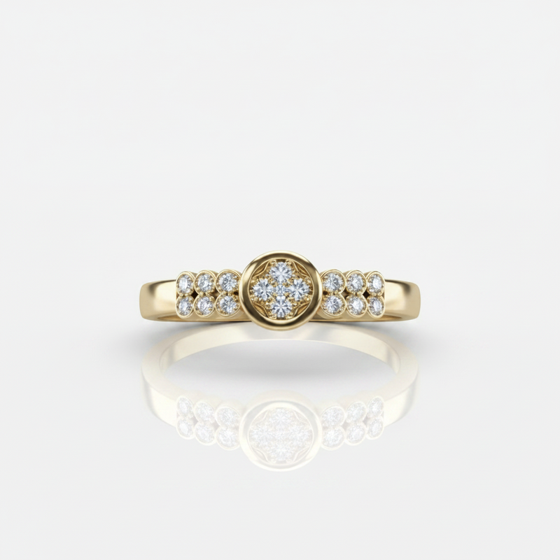 Anillos
