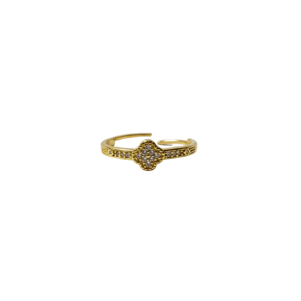 Anillo Microcirconia Medallón con Acento