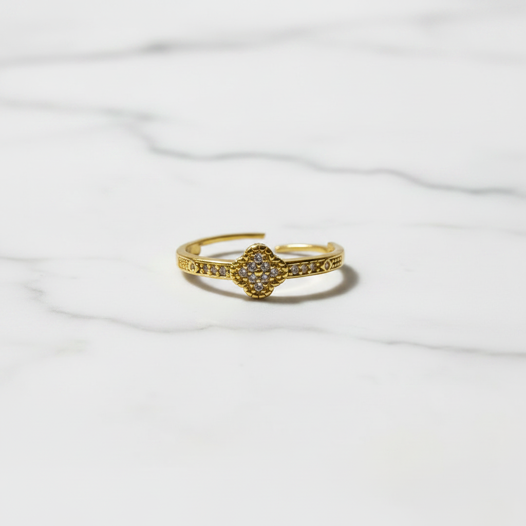 Anillo Microcirconia Medallón con Acento